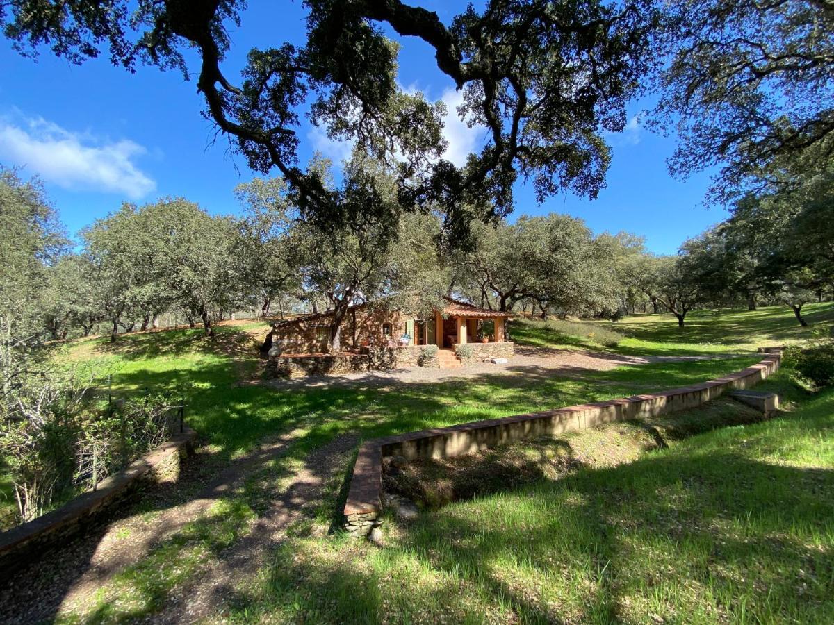 Valle Del Arroyo Casas Rurales - B&B - Solo Adultos Cortelazor Exteriör bild