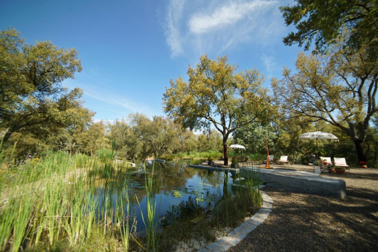 Valle Del Arroyo Casas Rurales - B&B - Solo Adultos Cortelazor Exteriör bild